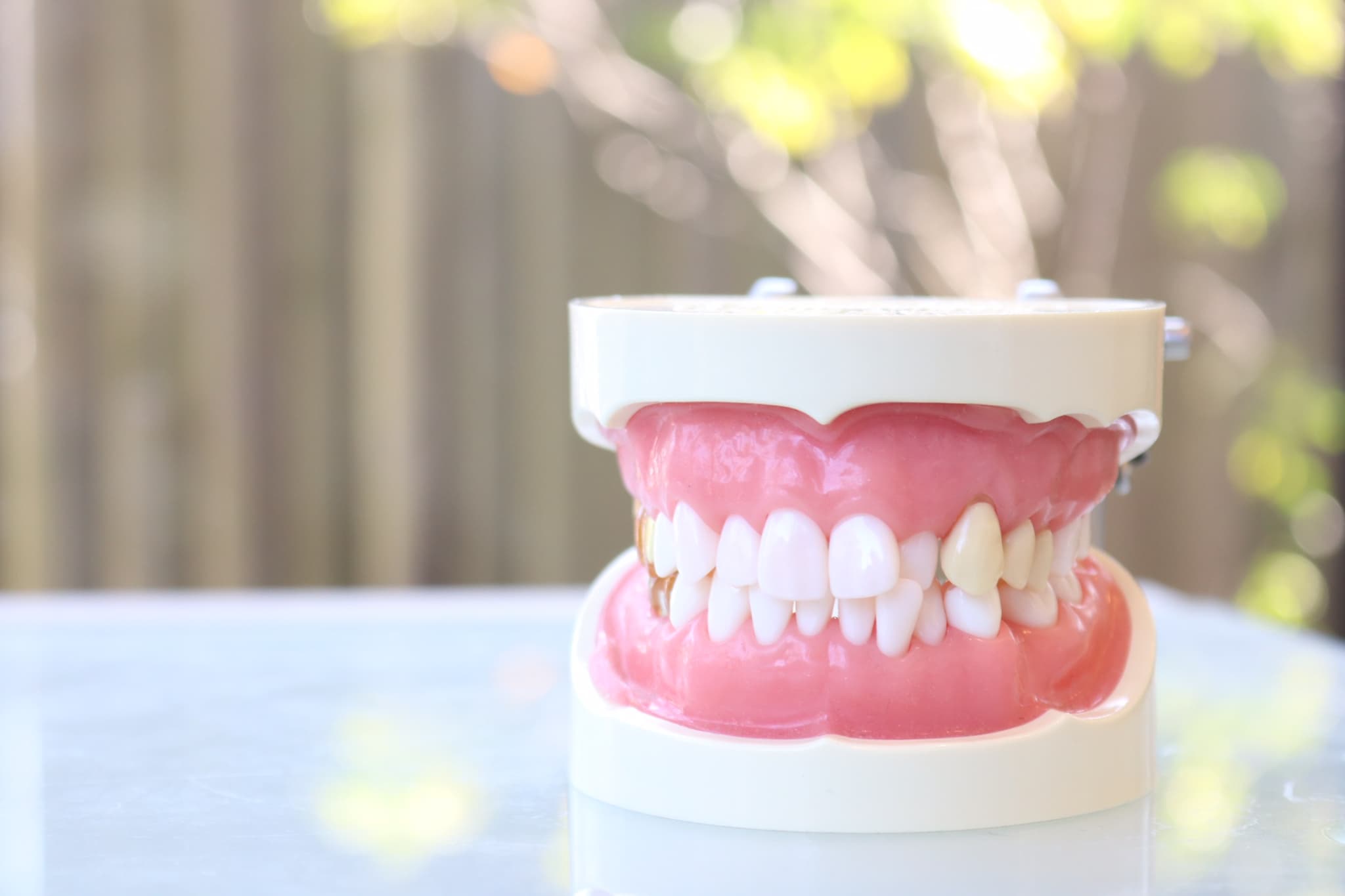 机に置かれた叢生の模型