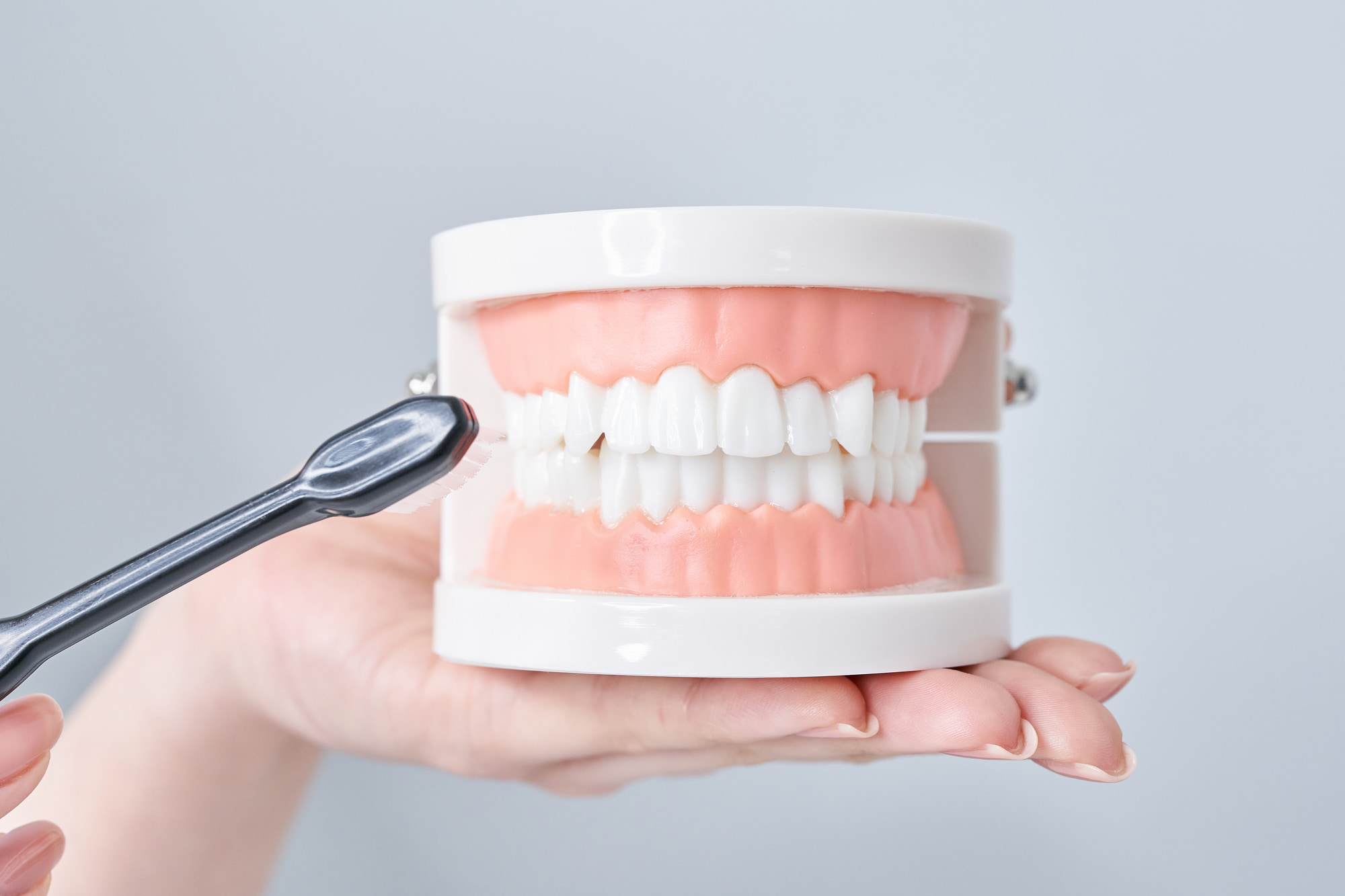 ブラッシング指導のイメージ